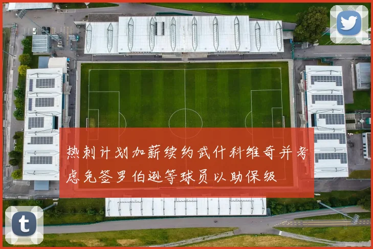 热刺计划加薪续约武什科维奇并考虑免签罗伯逊等球员以助保级