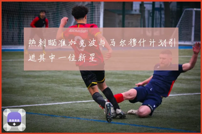 热刺瞄准加克波与马尔穆什计划引进其中一位新星